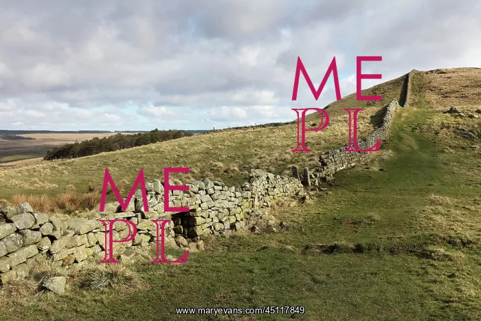  : Hadrian's Wall, Northumberland, England