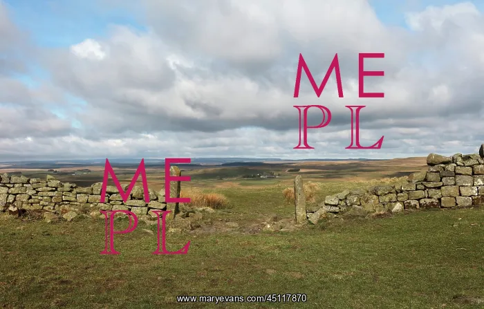  : Hadrian's Wall, Northumberland, England