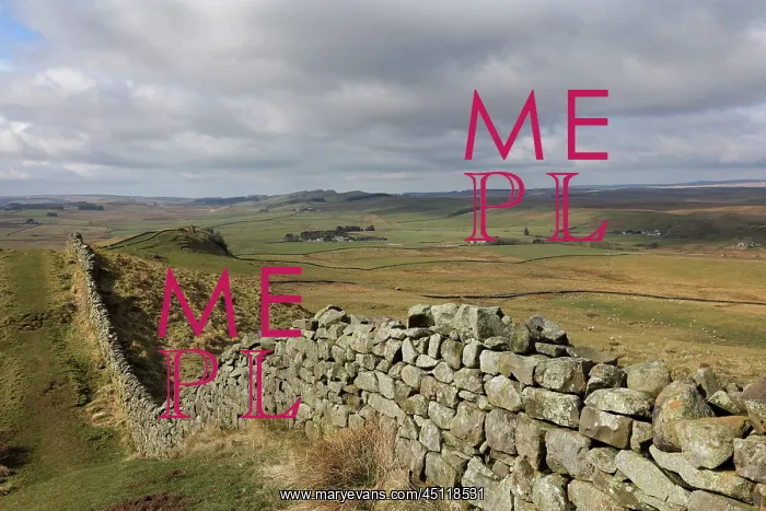  : Hadrian's Wall, Northumberland, England
