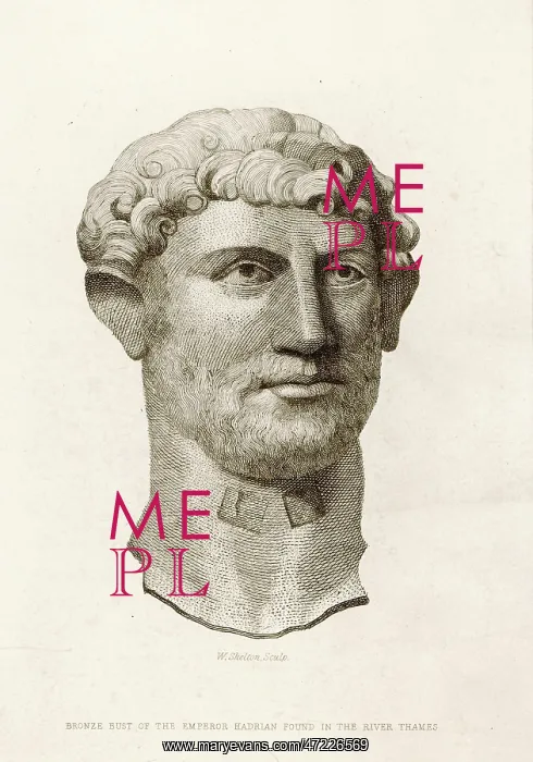 : HADRIANUS (BUST) : HADRIANUS (BUST)