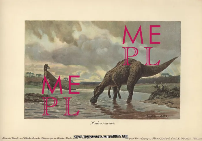 : Hadrosaurs or duck-billed dinosaurs of the : Hadrosaurs or duck-billed dinosaurs of the