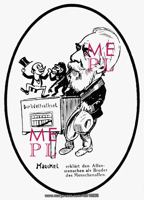 : Haeckel, Ernst, 16.2.1834 - 9.8.1919, German : Haeckel, Ernst, 16.2.1834 - 9.8.1919, German