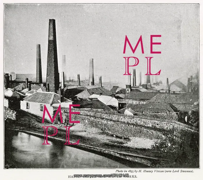 : Hafod Copper and Silver Works and Copper Mill : Hafod Copper and Silver Works and Copper Mill