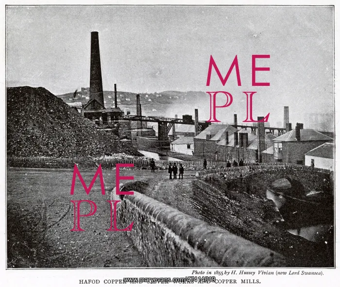 : Hafod Copper and Silver Works and Copper Mill : Hafod Copper and Silver Works and Copper Mill