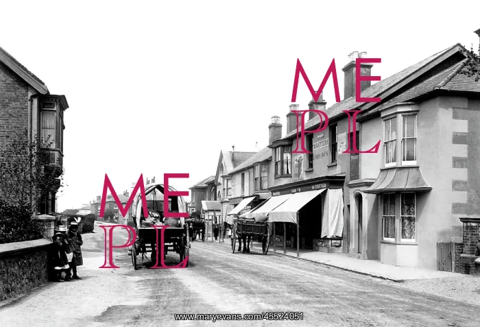  : Hailsham, High Street 1900