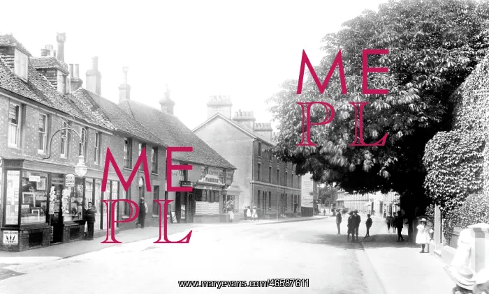  : Hailsham, High Street 1902