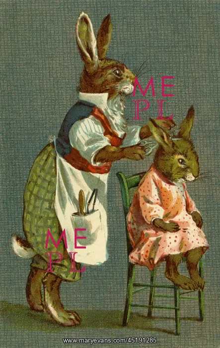 : Haircut for Young Rabbit by g h Thompson : Haircut for Young Rabbit by g h Thompson