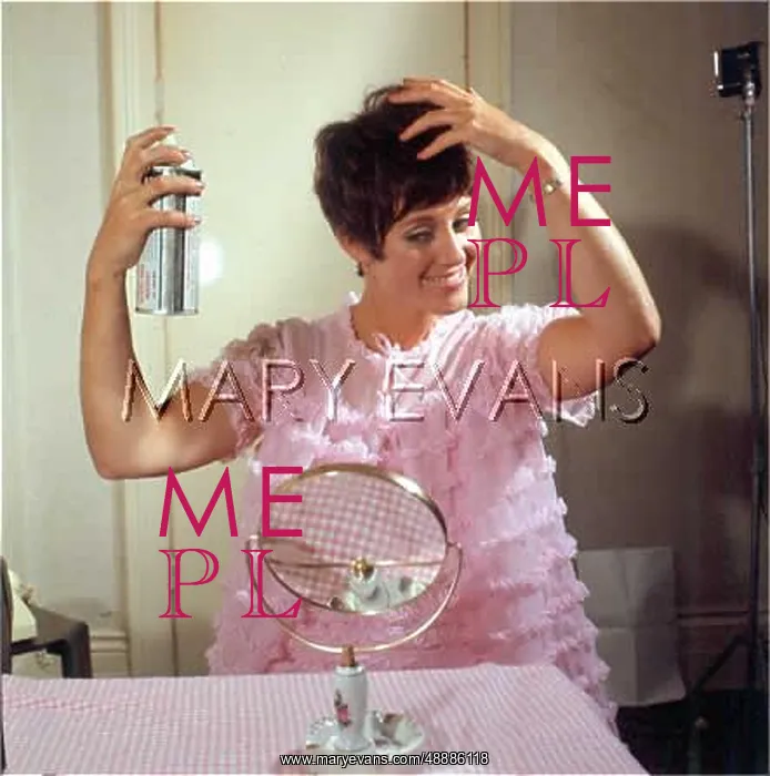 : HAIRSPRAY 1960S : HAIRSPRAY 1960S