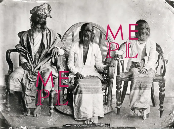 : The hairy family of Burma : The hairy family of Burma