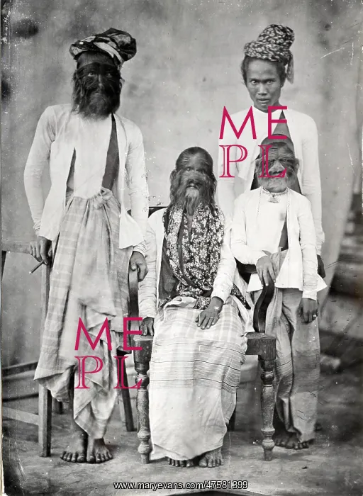 : The hairy family of Burma : The hairy family of Burma