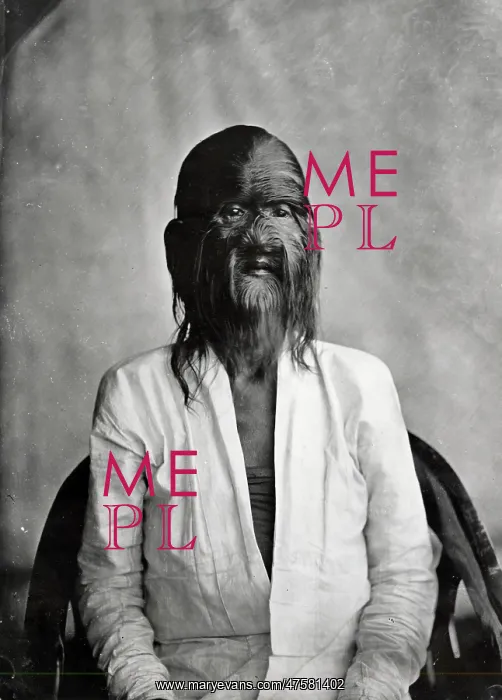 : The hairy family of Burma : The hairy family of Burma