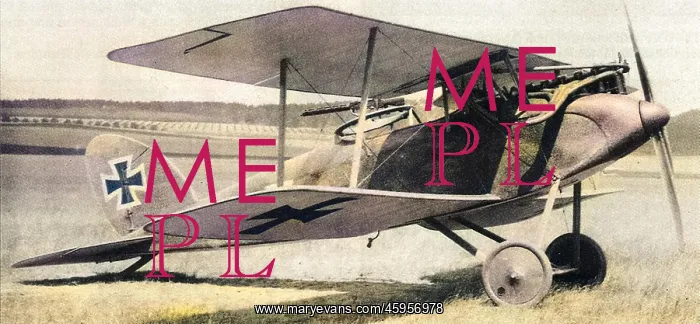 : Halberstadt CLII (forward view, on the ground) : Halberstadt CLII (forward view, on the ground)