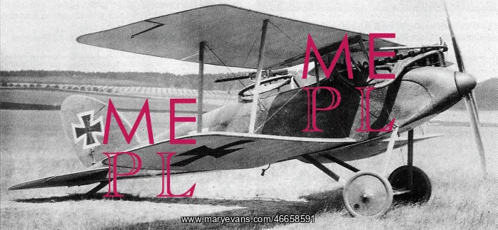 : Halberstadt CLII (forward view, on the ground) : Halberstadt CLII (forward view, on the ground)