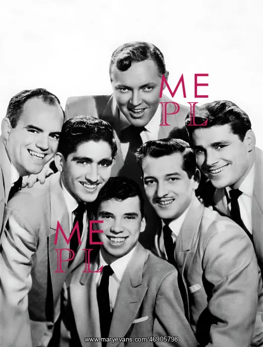 : Bill Haley and The Comets 1952 - 1981 : Bill Haley and The Comets 1952 - 1981