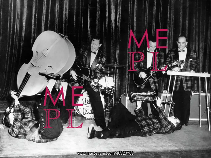 : Bill Haley and The Comets 1952 - 1981 : Bill Haley and The Comets 1952 - 1981