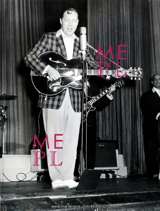 : Bill Haley and The Comets 1952 - 1981 : Bill Haley and The Comets 1952 - 1981