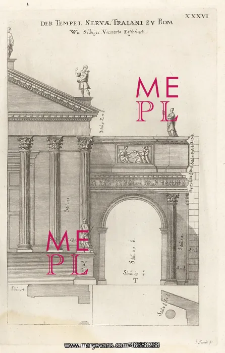 : Half facade of the Temple of Minerva, Rome : Half facade of the Temple of Minerva, Rome