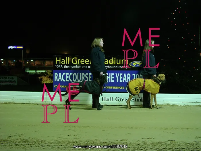 : Hall Green Greyhound Stadium, York Road, Birmingham : Hall Green Greyhound Stadium, York Road, Birmingham