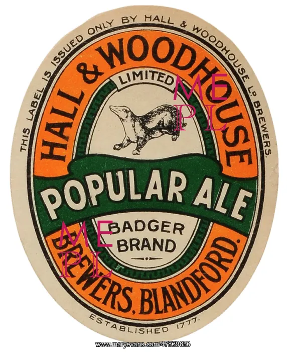 : Hall & Woodhouse Popular Ale : Hall & Woodhouse Popular Ale