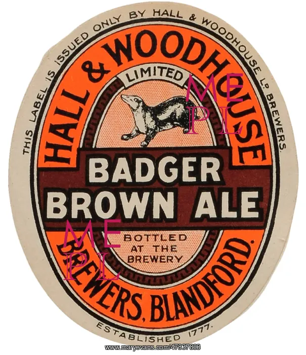 : Hall & Woohouse Badger Brown Ale : Hall & Woohouse Badger Brown Ale
