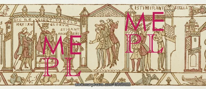 : HALLEYS COMET 1066 : HALLEYS COMET 1066