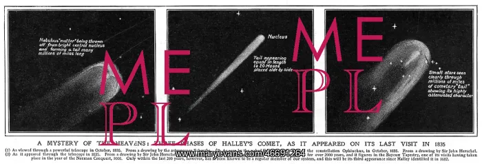 : Halley's Comet as it appeared in 1835 : Halley's Comet as it appeared in 1835