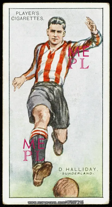 : Halliday - Sunderland F'Bl : Halliday - Sunderland F'Bl