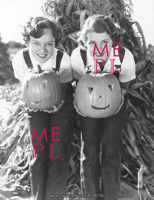: Halloween on the farm : Halloween on the farm