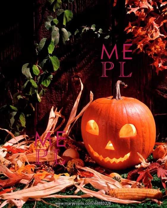  : Halloween Pumpkin
