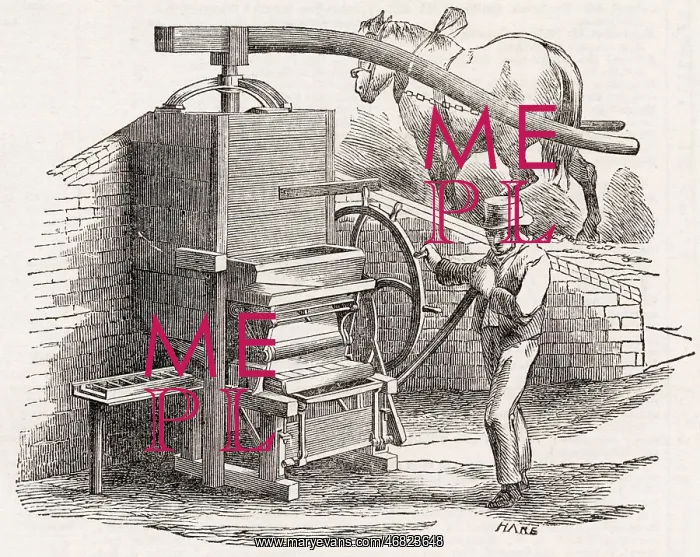 : Hall's brickmaking machine : Hall's brickmaking machine