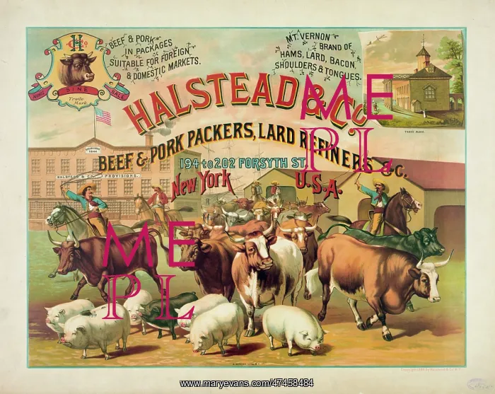 : Halstead & Co. beef & pork Packers, Lard Refiners & Co : Halstead & Co. beef & pork Packers, Lard Refiners & Co