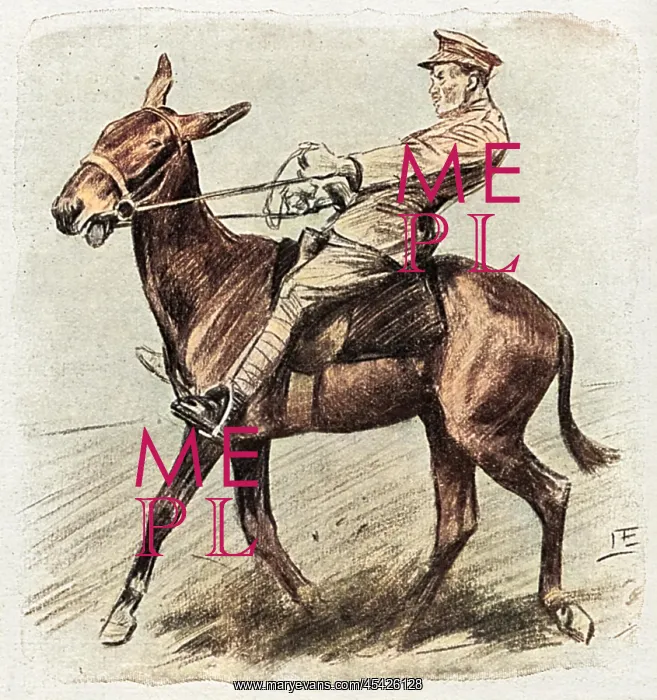 : Halting a mule, WW1 : Halting a mule, WW1