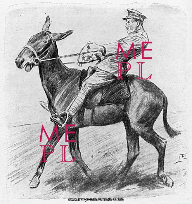 : Halting a mule, WW1 : Halting a mule, WW1