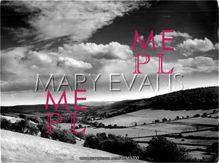 : HAMBLEDON VALLEY : HAMBLEDON VALLEY