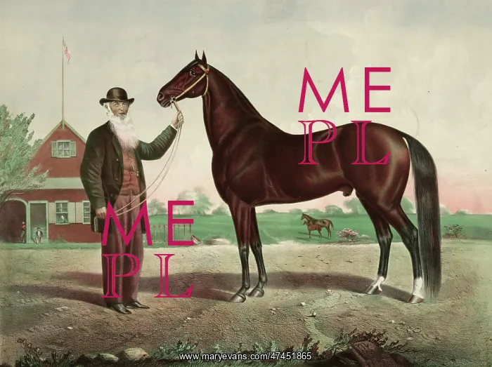  : Hambletonian