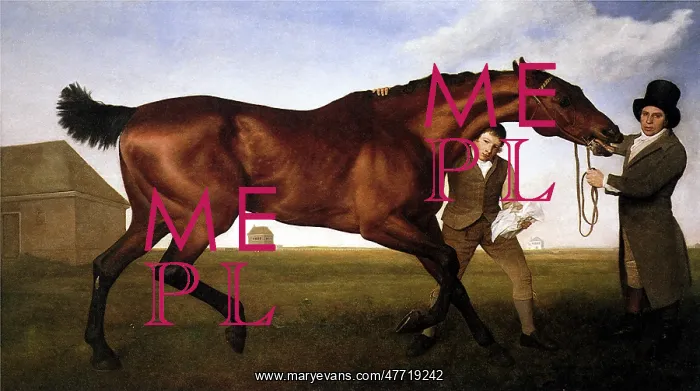 : Hambletonian, by Stubbs : Hambletonian, by Stubbs