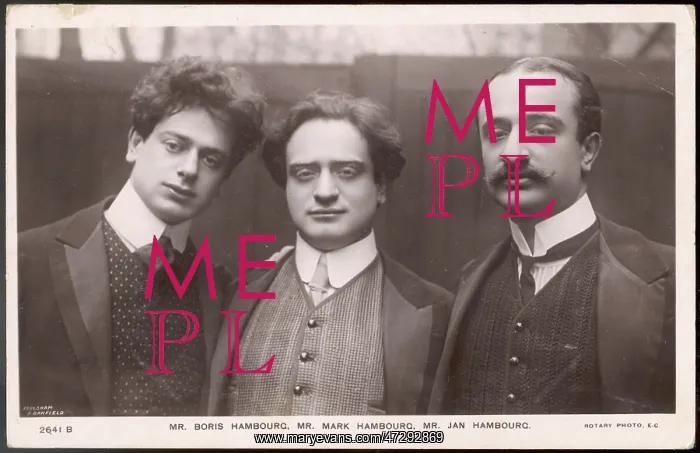 : THREE HAMBOURGS / 1909 : THREE HAMBOURGS / 1909