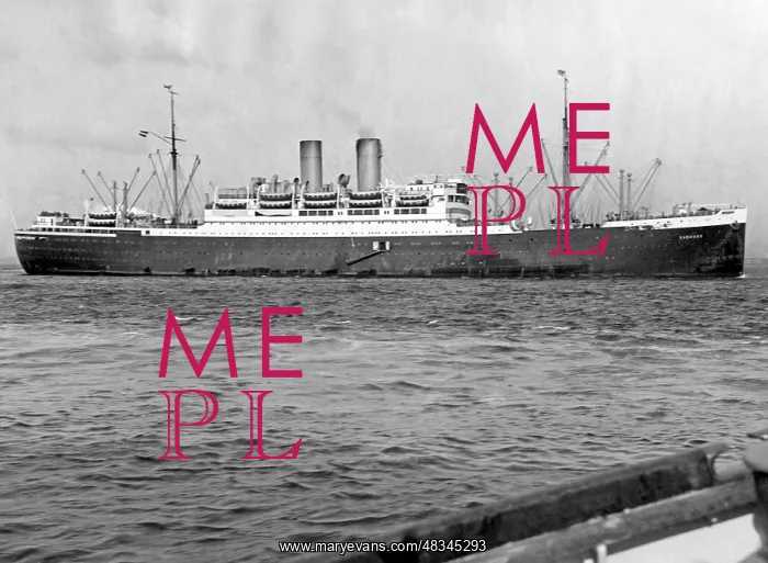 : The Hamburg in New York, 1926 : The Hamburg in New York, 1926