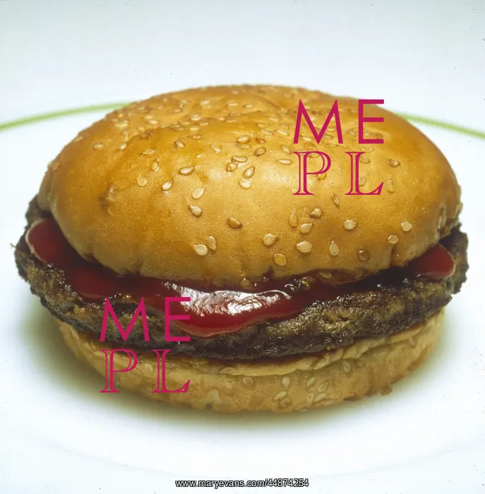  : HAMBURGER & KETCHUP
