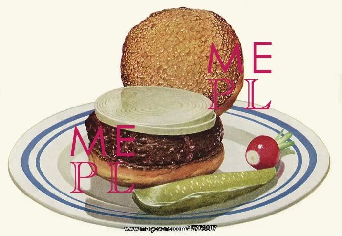 : Hamburger with Onions and Pickle : Hamburger with Onions and Pickle