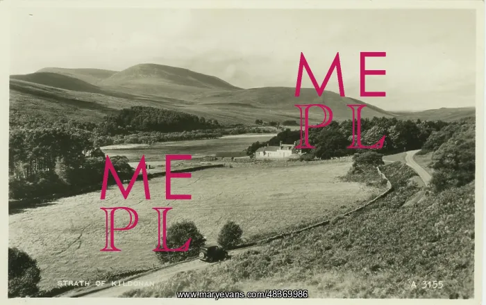 : The Hamlet : The Hamlet