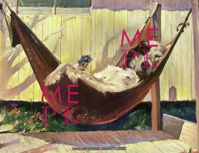  : Hammock Dog