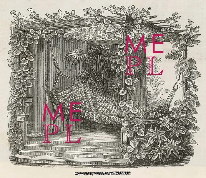 : HAMMOCK IN SUMMERHOUSE : HAMMOCK IN SUMMERHOUSE