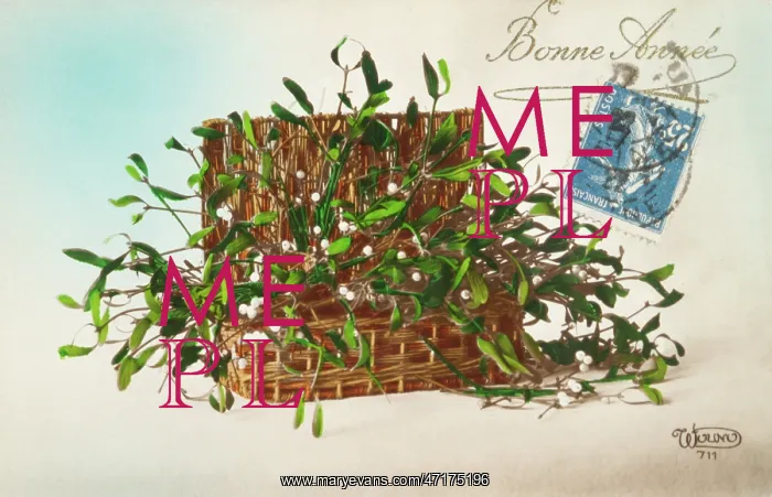  : Hamper of Mistletoe