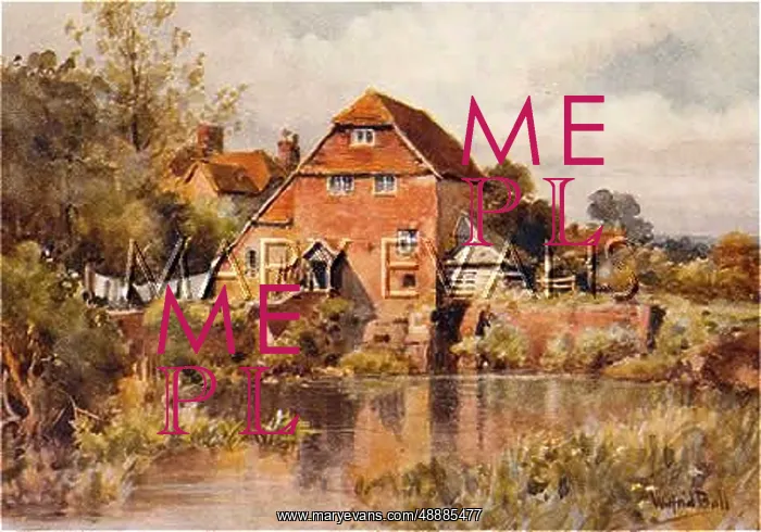 : HAMPSHIRE / SHEET MILL : HAMPSHIRE / SHEET MILL