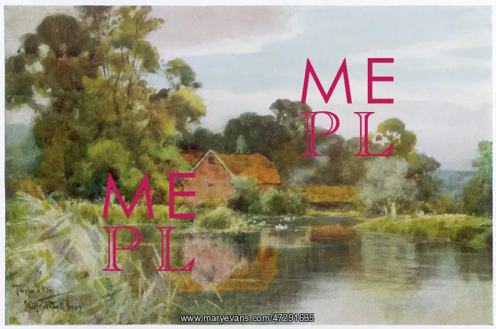  : HAMPSHIRE / TWYFORD MILL