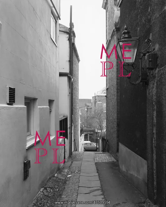 : HAMPSTEAD ALLEYWAY : HAMPSTEAD ALLEYWAY