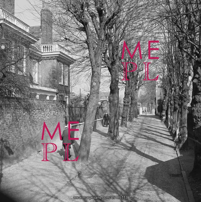 : Hampstead Grove, Hampstead : Hampstead Grove, Hampstead