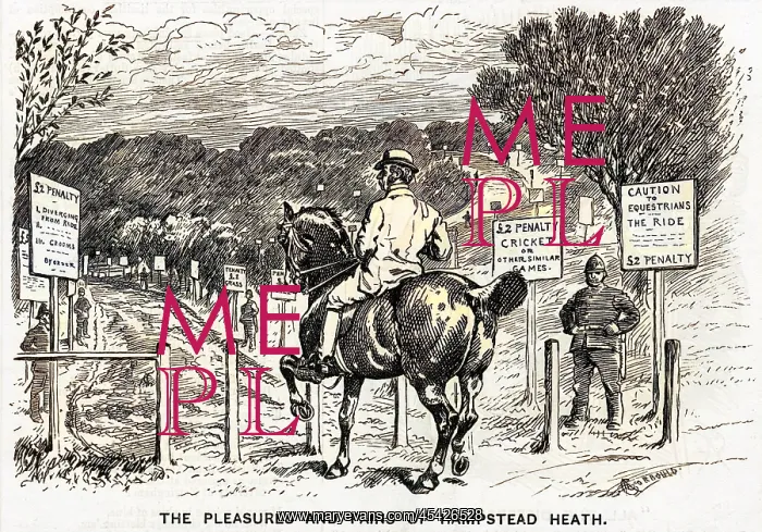  : HAMPSTEAD HEATH