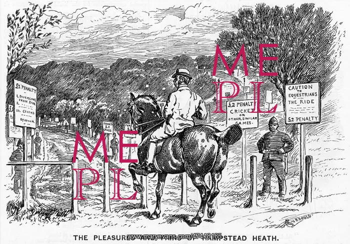 : HAMPSTEAD HEATH